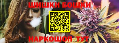 a pvp Камышлов