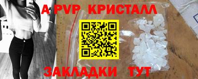 a pvp Камышлов
