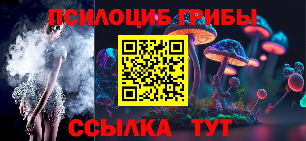 Псилоцибиновые грибы Psilocybine cubensis Краснокаменск