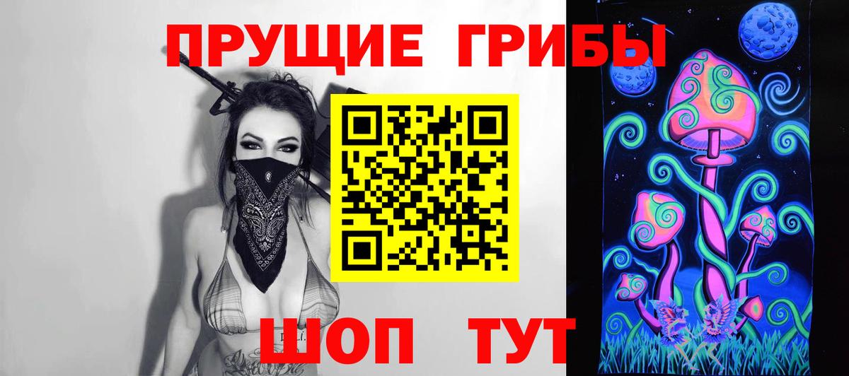 как найти   Вход с VPN  Краснокаменск  Псилоцибиновые грибы Cubensis 